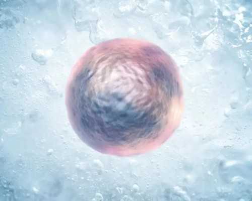 武汉代孕生男孩套餐,武汉供卵试管费用（武汉试管婴儿捐卵供卵）