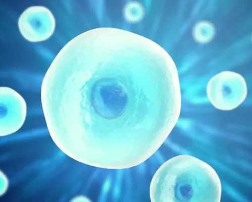 武汉高龄失独供卵,武汉同济医院-武汉试管婴儿收费标准