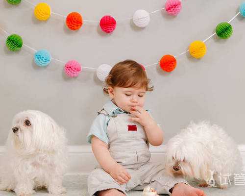 武汉专业供卵公司,武汉三代试管包成功，武汉试管找哪个医生