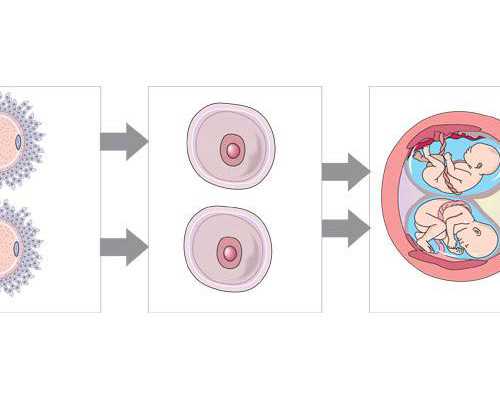 贵州试管婴儿医院介绍_贵州试管婴儿医院排名