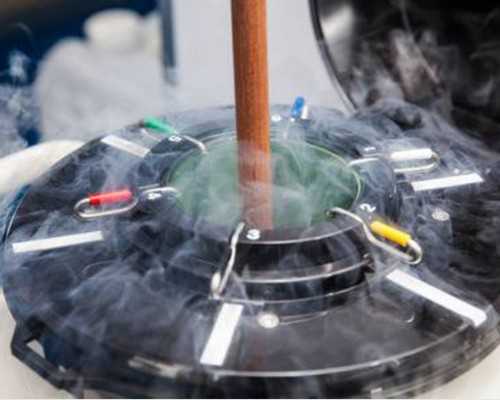 备孕可以吃小龙虾吗