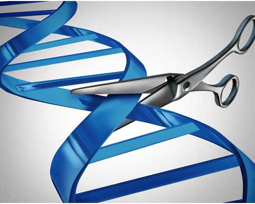 单身做三代试管生男孩费用是多少？