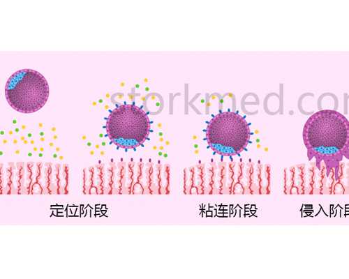 贵州省哪些医院可做试管婴儿，贵州省医试管婴儿费用