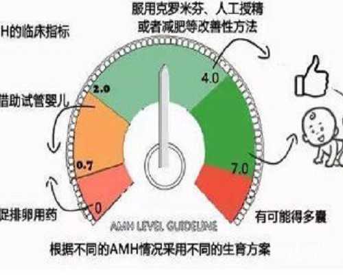 武汉借卵做试管代怀,武汉三代试管包成功，武汉试管找哪个医生