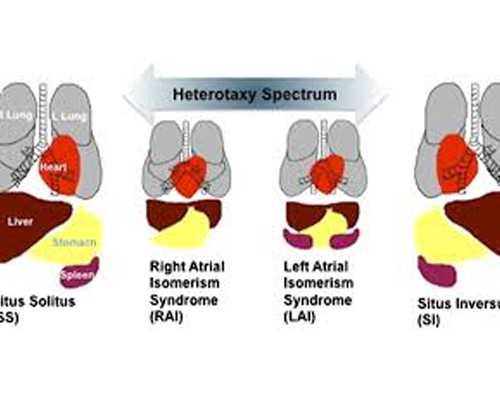 取卵完成后多久可以移植？