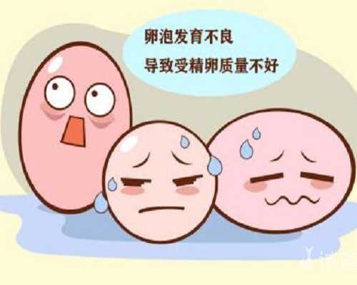 基础卵泡13个是不是多囊？多囊卵巢13个卵泡严不严重？~供卵机构电话