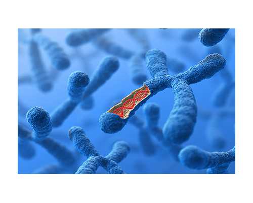 第四代试管婴儿是什么，附四代试管婴儿的流程介绍！