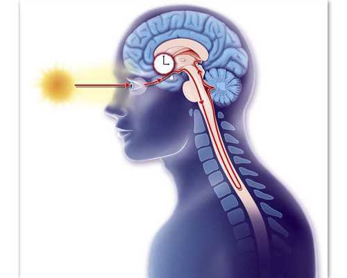 女性取卵后用溴隐亭的作用与功效有哪些?