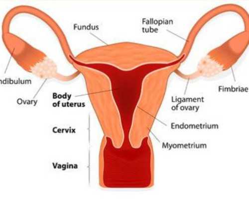 艾泽的副作用：