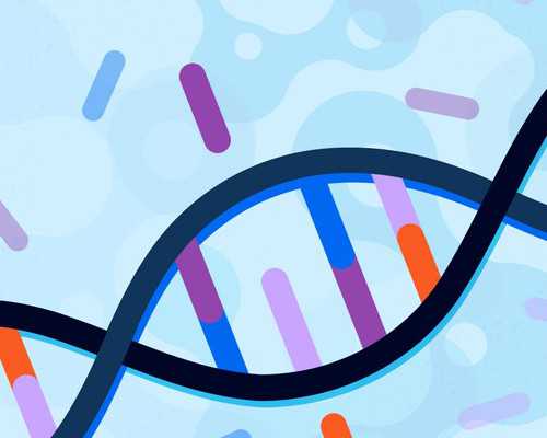 黄体萎缩不全的治疗~助孕公司官网