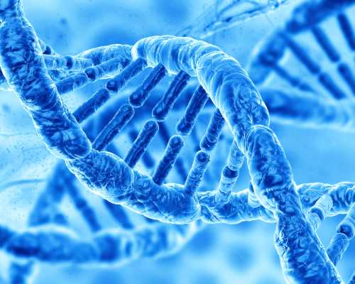 贵州做试管成功率多少钱,贵州做试管成功率高吗！