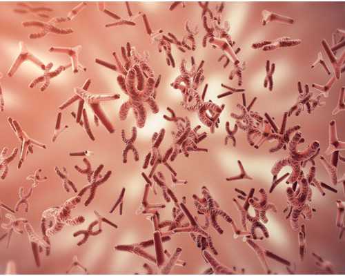 盘点人工周期对身体的危害，会不会损伤卵巢别说不知道~供卵公司怎么样