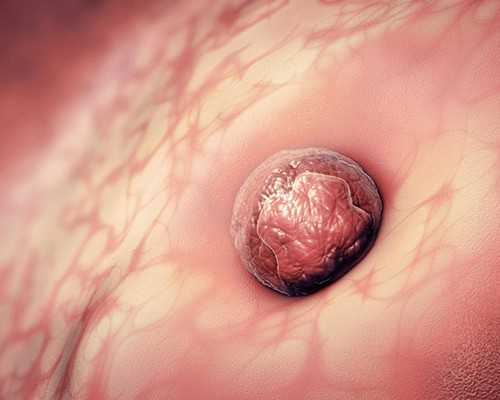 上海怎么找借腹生子中介,上海供卵试管价格多少钱,【上海代孕基地，孕育奇迹