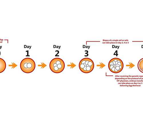 amh值多少为卵巢早衰？~~试管代妈