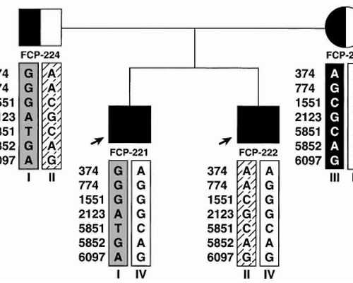 武汉代孕医院机构,武汉三代试管助孕孩子-武汉辅助生殖中心