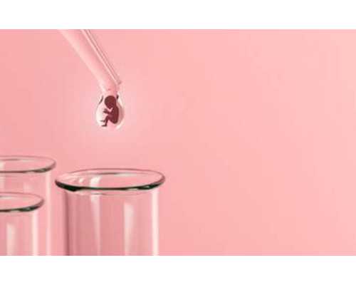 贵州哪家医院试管成功率高_贵州哪家医院做试管好！