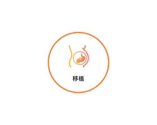 ​双卵巢多囊结构