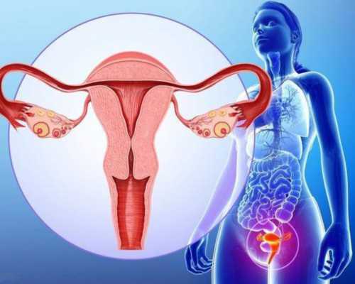 试管移植后可以吃虾吗？前提是对虾不过敏？~找靠谱代妈