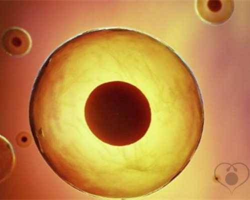 试管移植子宫后位影响吗？移植子宫后位有优势吗？