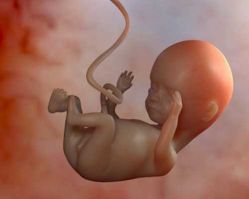 武汉代生费用高吗,武汉三代试管大概费用,三代试管大概费用不成功