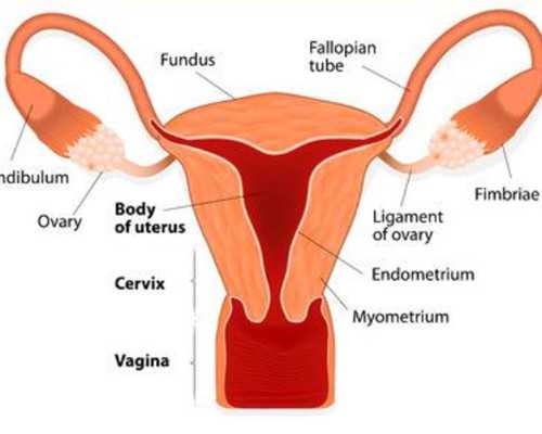 人工周期对身体的危害，会不会损伤卵巢别说不知道~品牌代怀