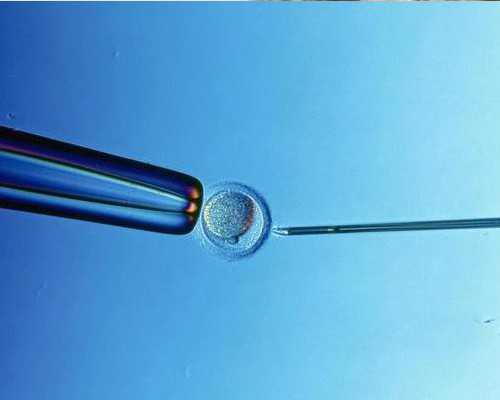 武汉代孕医院哪里找,武汉市第一医院供卵医院