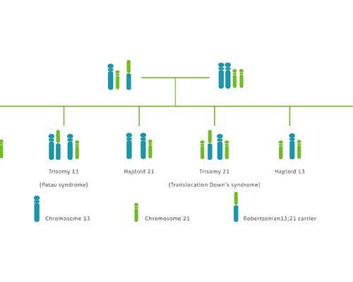 移植后可以吃小龙虾吗，试管移植后真的不能吃小龙虾吗？~私人高薪请代妈