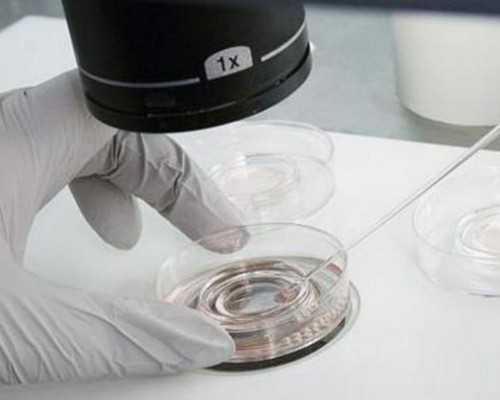 武汉有代孕医院吗,武汉41岁三代试管成功率，武汉试管婴儿费用