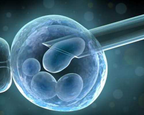 预防卵巢早衰吃什么~~哪做代怀好