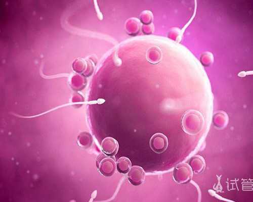 武汉供卵在哪里,武汉供卵试管婴儿武汉供卵试管婴儿医院