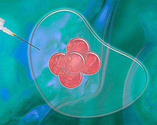 武汉最好代怀公司,武汉供卵三代医院,武汉供卵医院