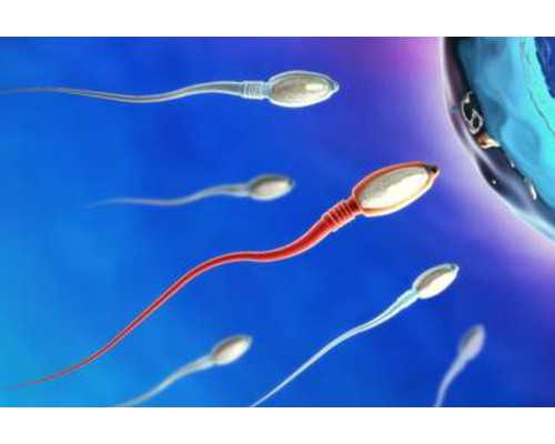 武汉专业代孕产子网,武汉同济医院供卵吗(武汉同济医院供卵试管)