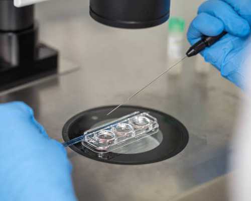 武汉代怀中介网,武汉试管费用(武汉做试管费用需要多少)