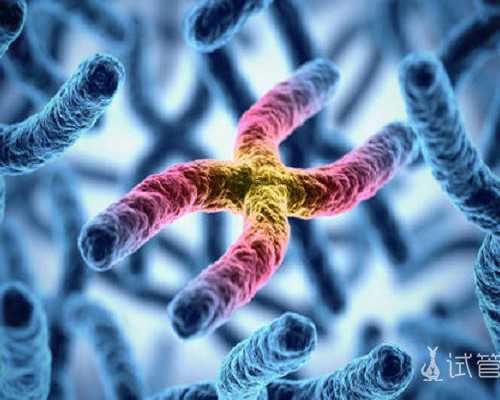 武汉私人代孕医院,武汉试管费用(武汉做试管费用需要多少)