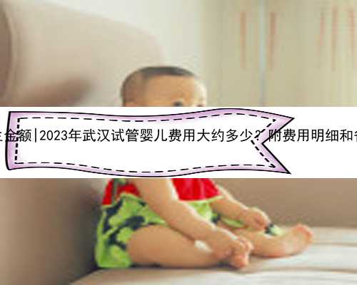 武汉代生金额|2023年武汉试管婴儿费用大约多少？附费用明细和省钱攻略