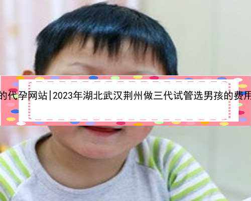 武汉专业的代孕网站|2023年湖北武汉荆州做三代试管选男孩的费用是多少？